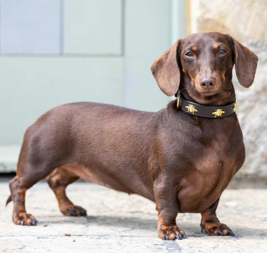 Winner small image - Pickles & Company